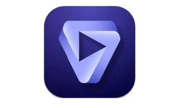Topaz Video AI段首LOGO
