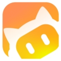 LearnBuddy