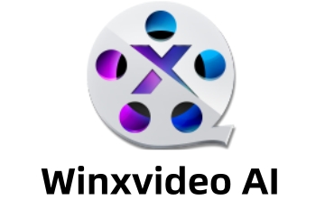 Winxvideo AI段首LOGO