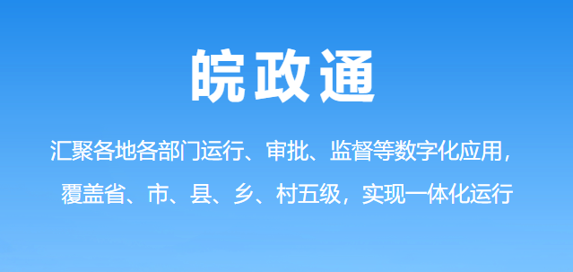 皖政通电脑版截图