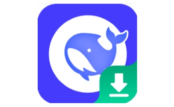 DS本地部署大师段首LOGO