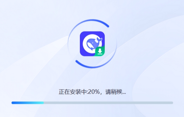 DS本地部署大师截图