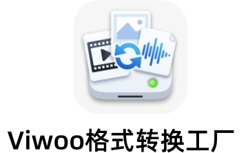 Viwoo格式转换工厂段首LOGO