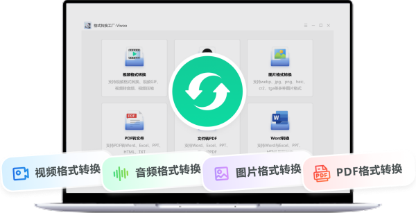 Viwoo格式转换工厂截图
