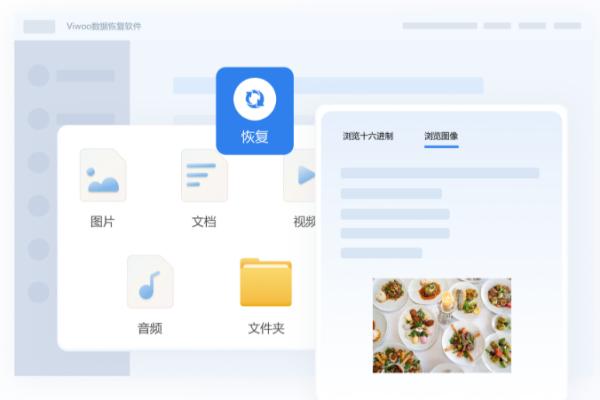 Viwoo数据恢复软件截图1