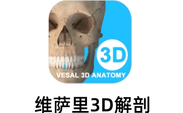 维萨里3D解剖段首LOGO